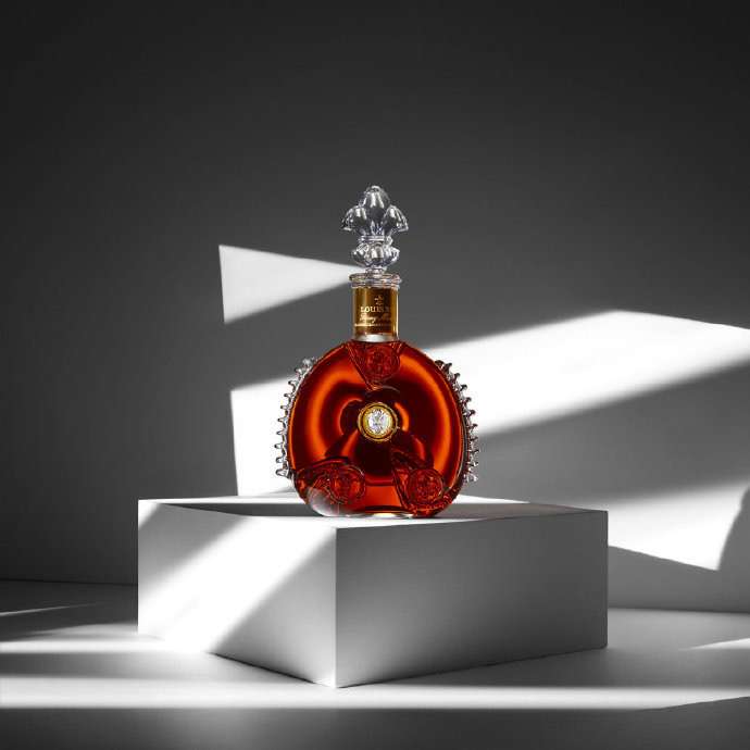 如何评价路易十三?