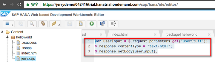 SAP Server Side JavaScript解决方案是怎样的