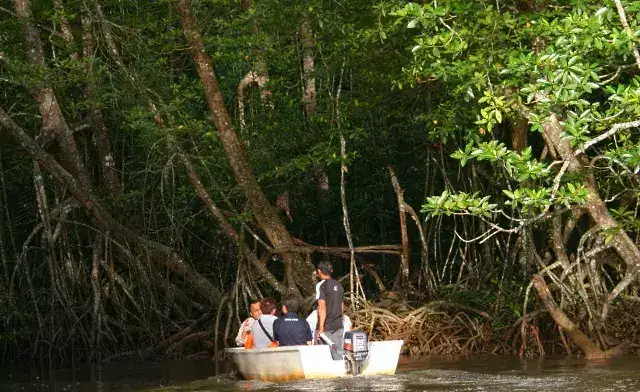 史上最好的沙巴小众旅行攻略，没有之一。