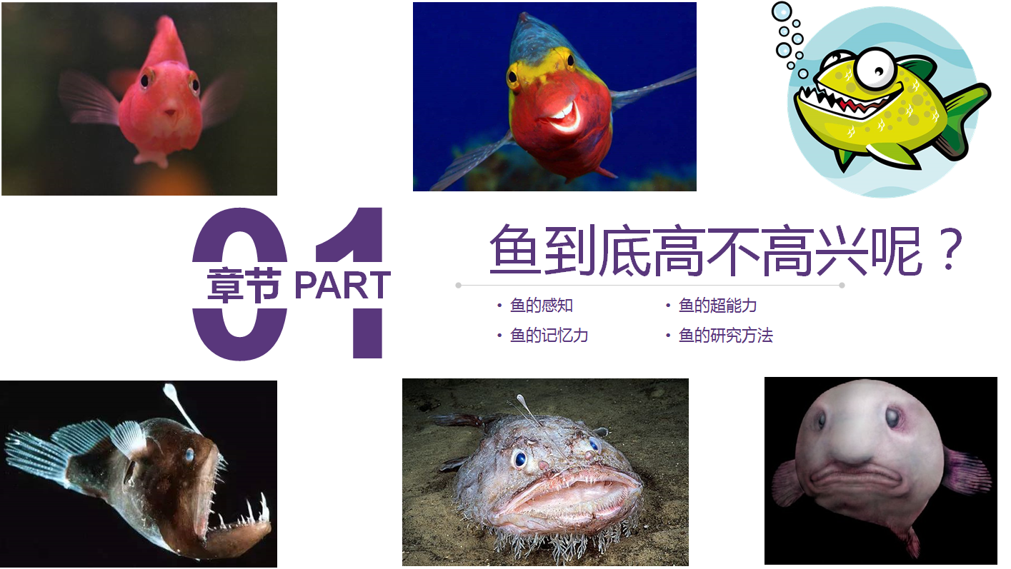 科学私房课第八十七讲子非鱼焉知鱼之乐 知乎
