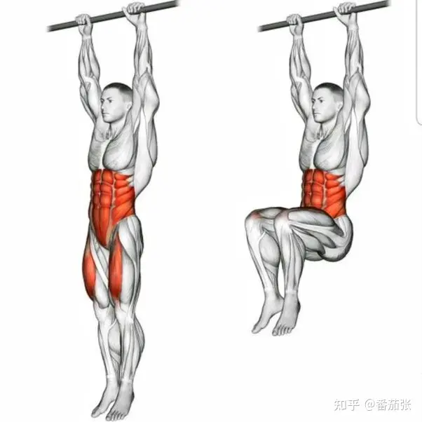 十大腹肌训练动作之一：悬挂提膝