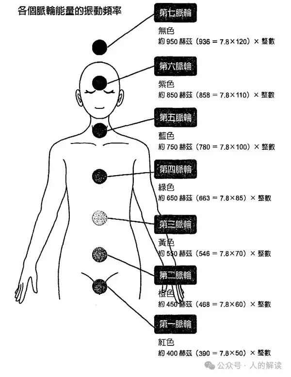 神奇的松果体，奥秘远超想象-人的解读