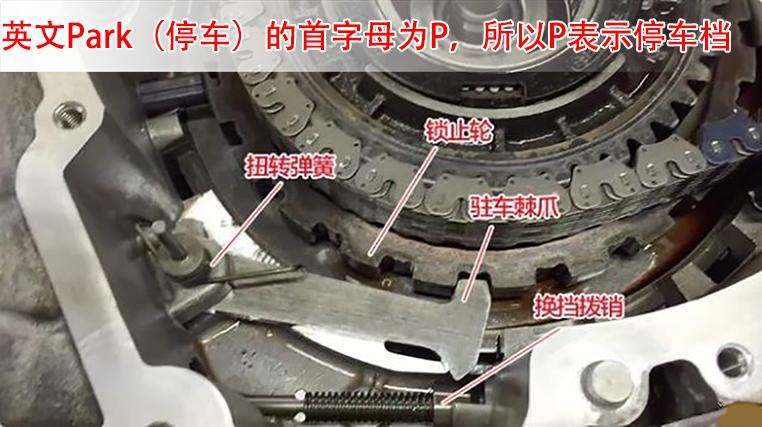 自动挡上的p R N D S L究竟怎么用 这样记就不会忘了 知乎