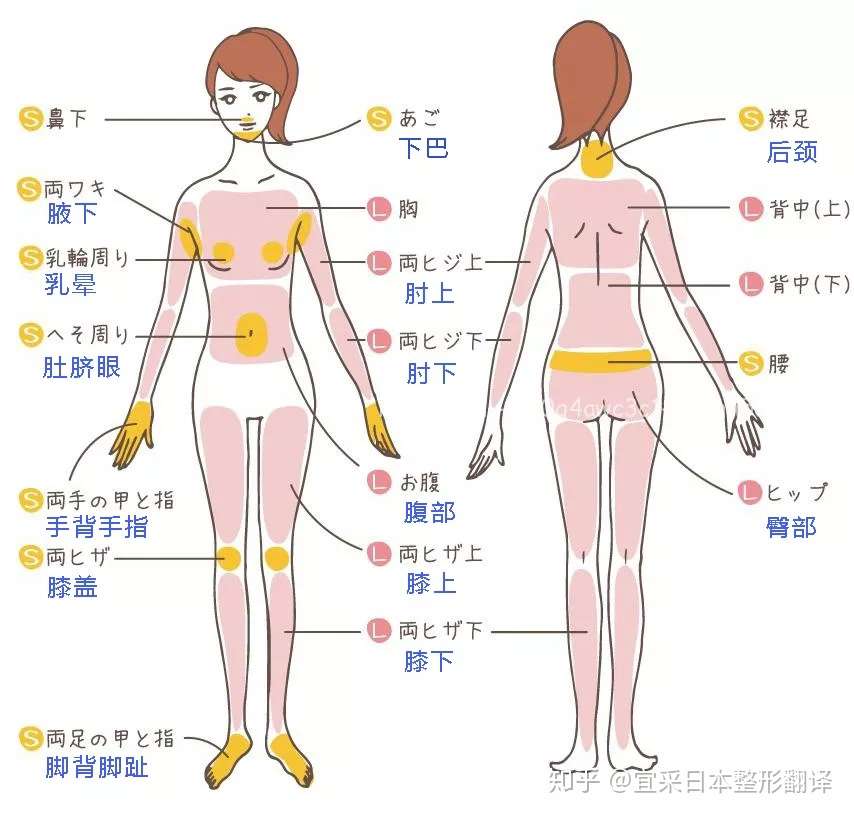 多毛星人集合 请在夏天来临前变光溜溜吧 知乎