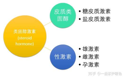 敲黑板,要强调的是,我们一般所说的激素都是 皮质类固醇(也叫皮质激素