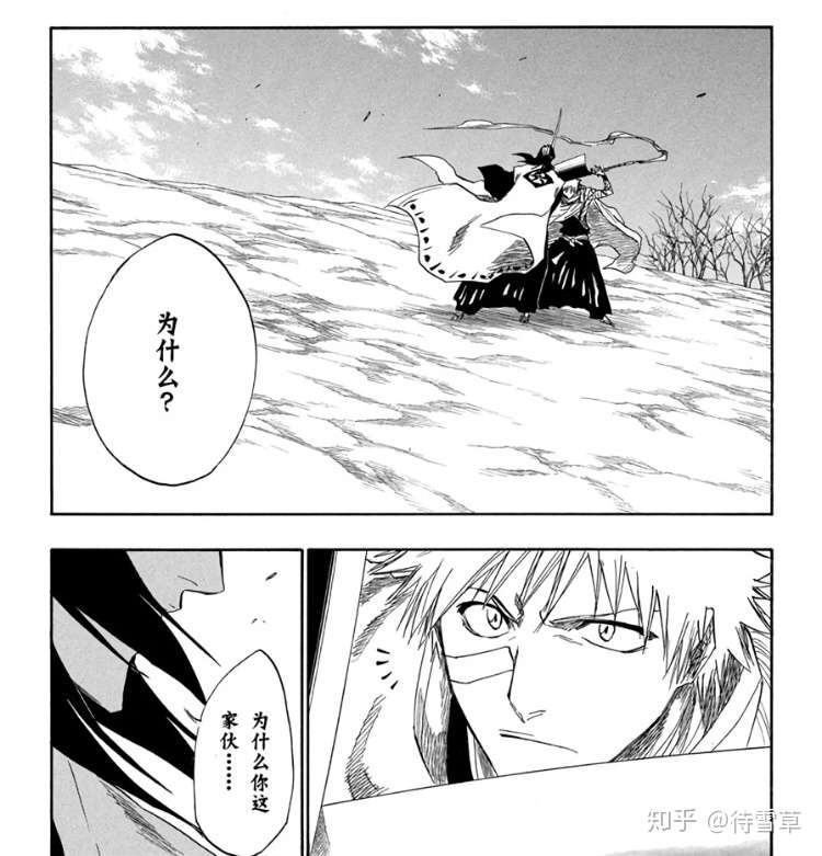 Bleach 人物解析 朽木露琪亚 四 朽木白哉与朽木露琪亚 知乎