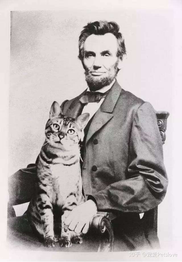 对这个世界居心叵测的 不只有男人和女人 还有喵星人 知乎