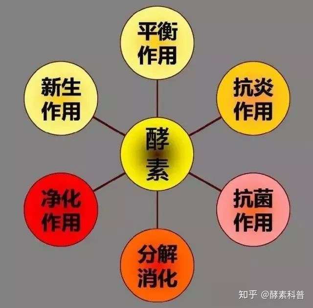 你可以选择不喝 但一定要了解酵素 知乎