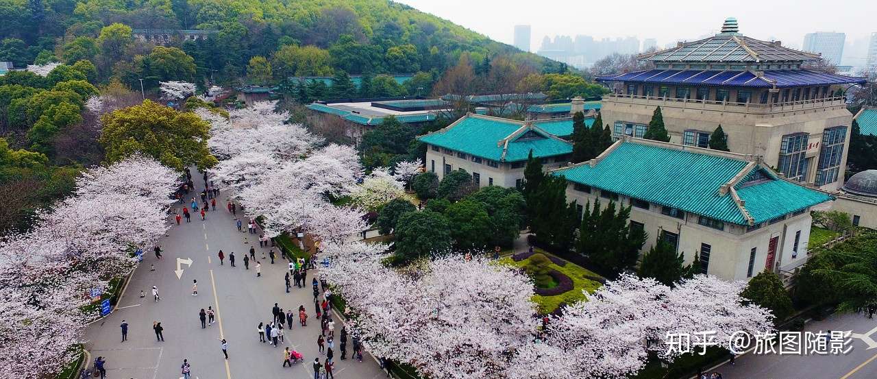 台湾最美大学 教堂和奶牛 才是这里的主角 知乎