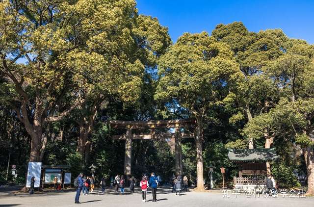 柠檬sgu 上智大学英文授课国际教养gpgs修士与博士课程 知乎
