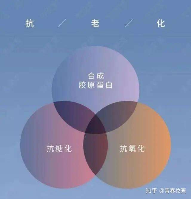 女人为什么要保养皮肤_女的保养皮肤_保养皮肤女人要多少钱