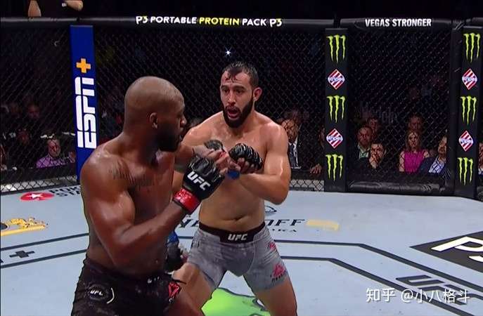 其实在ufc253没开打之前,大多数人都会认为雷耶斯的胜算会更