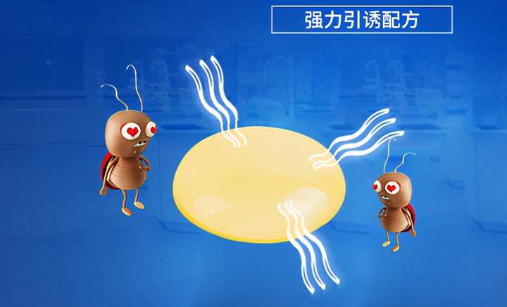蟑螂怕什么东西(蟑螂不是没有天敌吗)插图(5) 蟑螂怕什么东西(蟑螂不是没有天敌吗)插图(5)