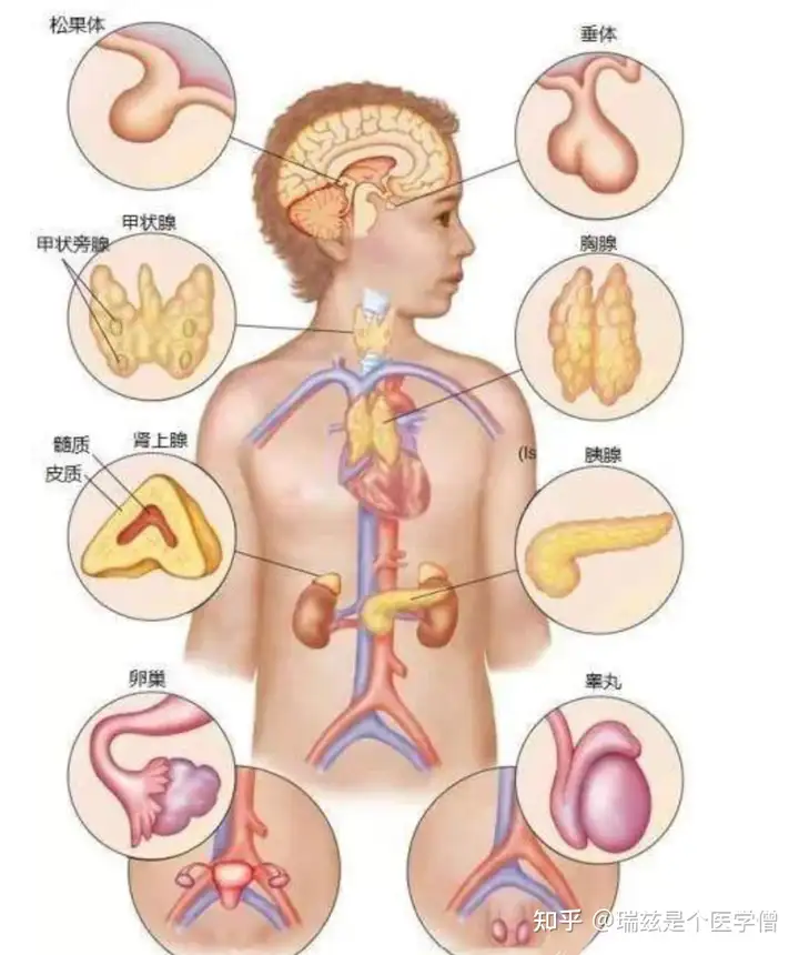 一日秒蓖：兜徐类色眉慈狠彭加母!(图1)