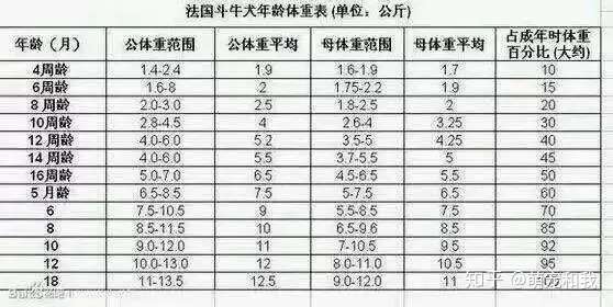 法国斗牛犬和英国斗牛犬标准体重表 宠物斗牛犬太胖太瘦怎么办 知乎