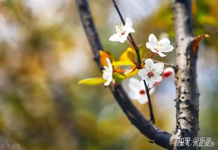 干货满满（经典句子）经典句子人生短句 第8张