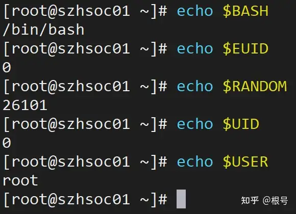 Bash食用指南 知乎