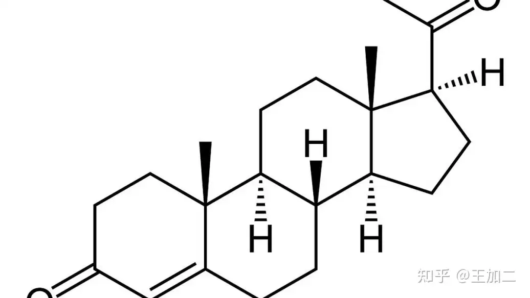 补剂的选择 知乎