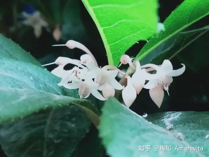 端午节：六月十四日，2021年，365日，一日七话题（6月14号端午节放假）