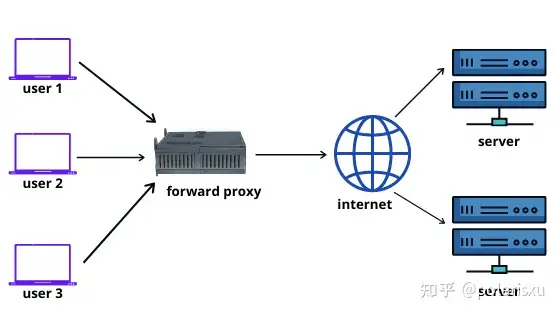 Go 简单而强大的反向代理（Reverse Proxy） - 知乎