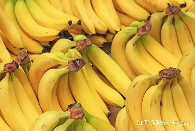 夏至“吃凉不吃寒”，少吃2种水果，多吃4种蔬菜，清爽解暑不上火