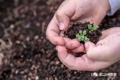 自制em菌种 自然农法的最高境界 知乎