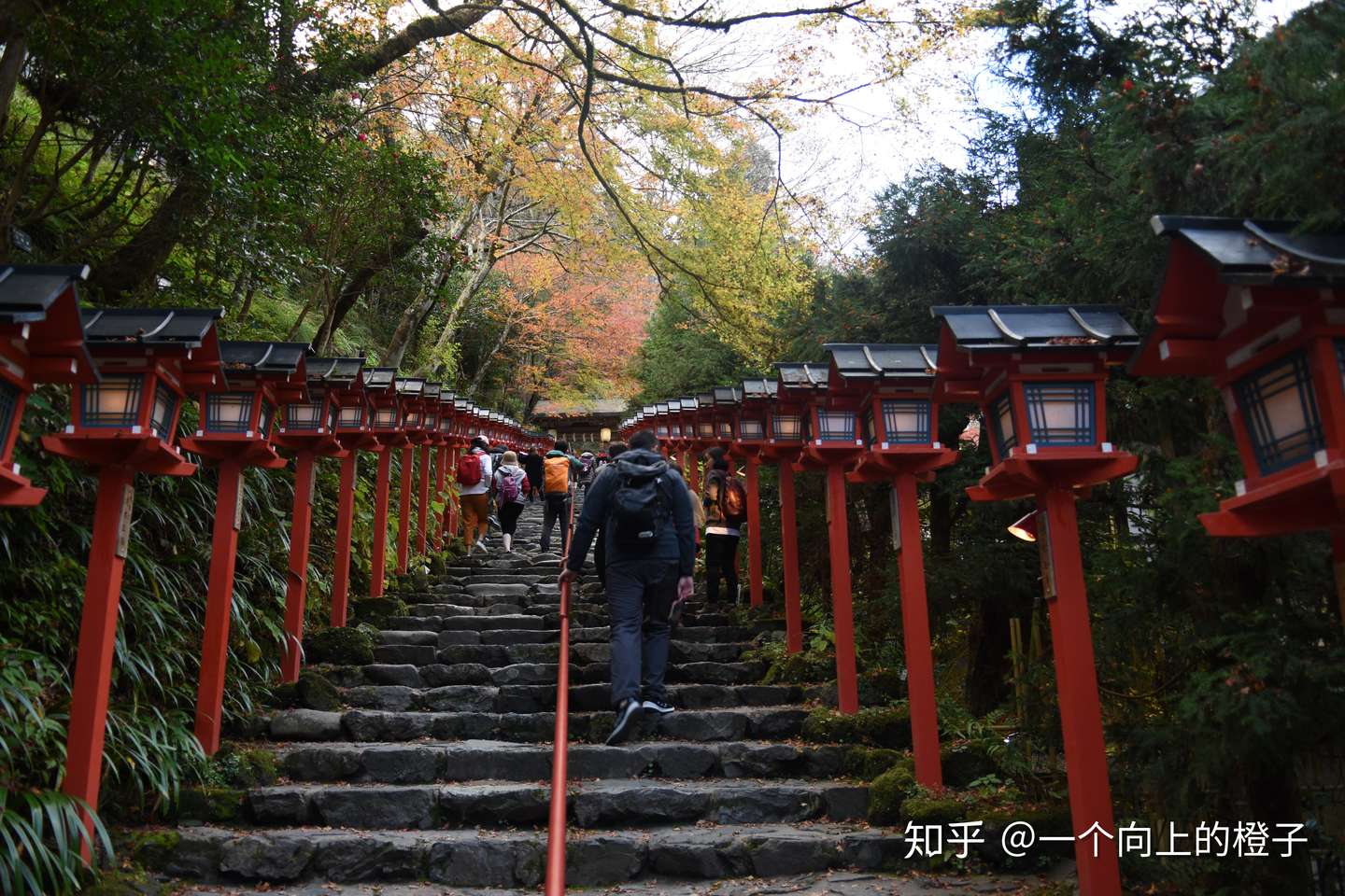 日本自由行攻略 行程第四天京都琉璃光院 贵船神社网红景点不一样玩法 知乎