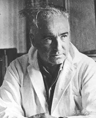威廉·赖希(1897～1957),奥地利人,精神分析学派心理学家,弗洛伊德的