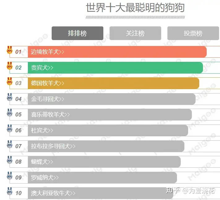 清点世界十大最伶俐的狗狗