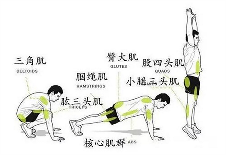 波比跳减脂真的很快吗