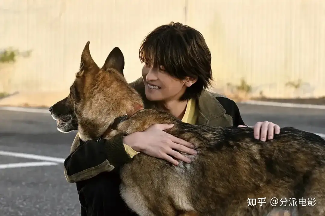 《少年与犬》好厉害！狗狗电影竟然拍出了苦难人间