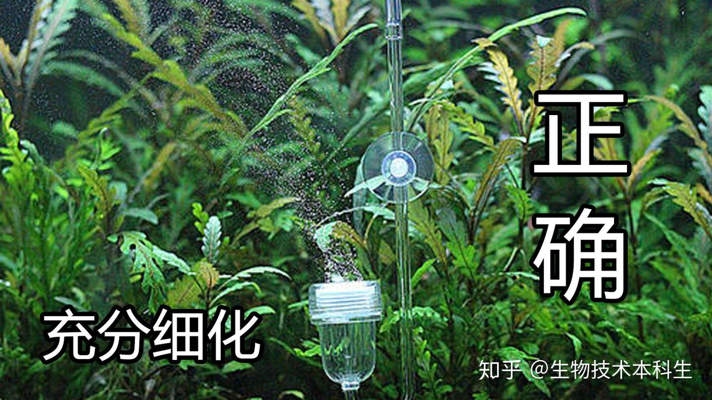 5大冷门开缸误区丨前两点老手都未必知道新手总被第5点困扰 知乎