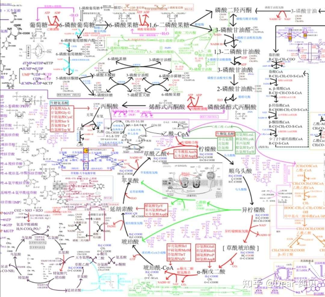 高中化学教材改革新旧对比 科技 未来篇