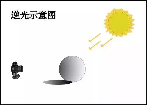课程门户-章节详情