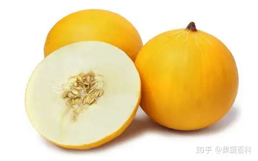 怎么挑伊丽莎白