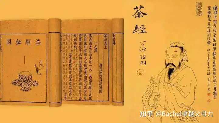 深度揭秘（禅茶养生馆）禅茶养生的视频，禅茶育儿：爱茶之人的小白入门影视篇（纪录片+电影），金丹元婴化神等级划分，