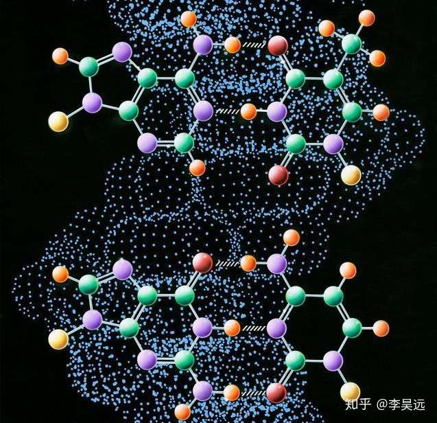 知乎专栏