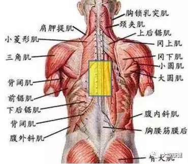背部胸椎疼痛的拉伸康复 知乎