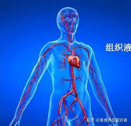 人体的组织液成分有哪些