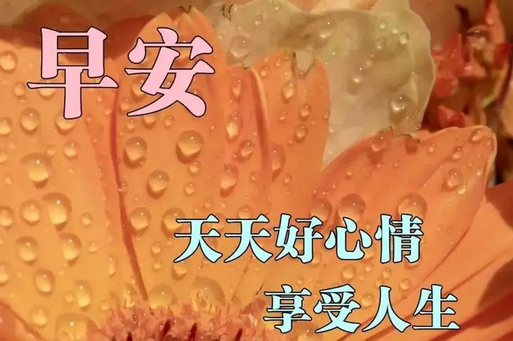 早晨好问候语录暖心句子送给你，清晨慰问朋友的早上好祝福句子（早上问候朋友的祝福语）