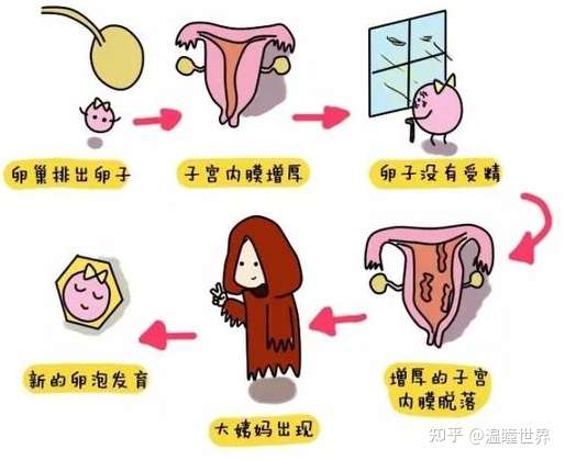 女生漂不漂亮 其实是由它说了算 你照顾好它了吗 知乎