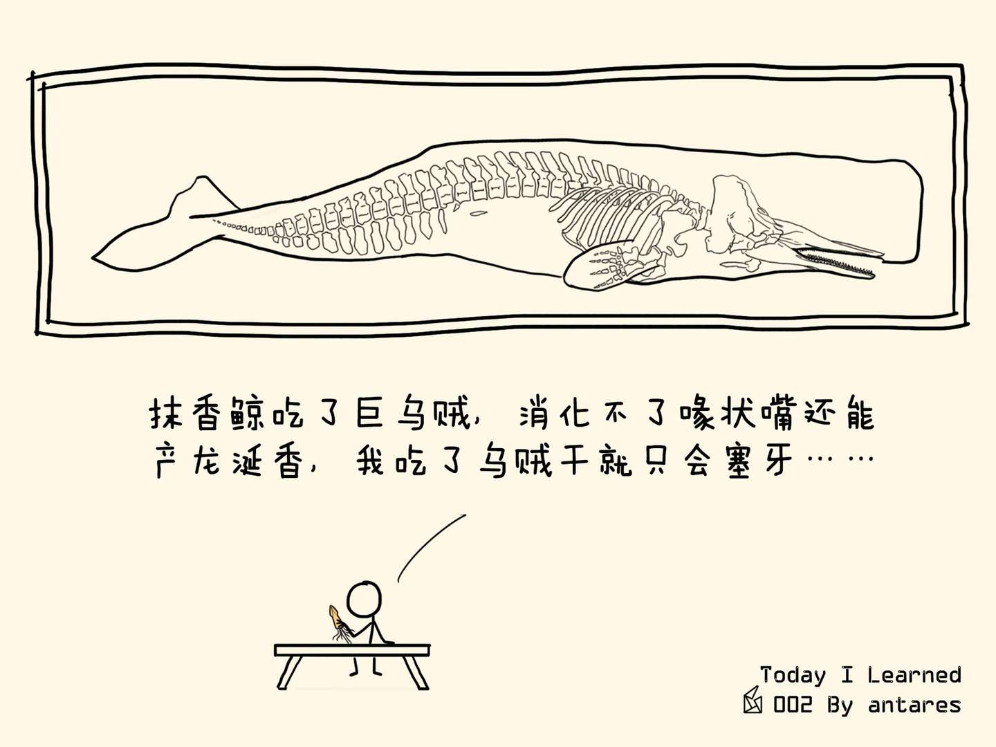 巨乌贼与鲸 存在感的另一种形式 知乎