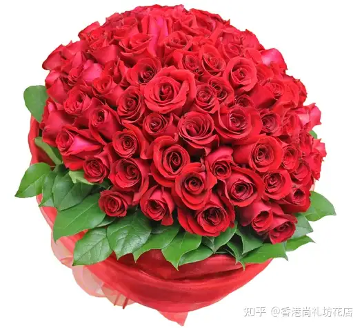 12个生日月份的诞生花 知乎