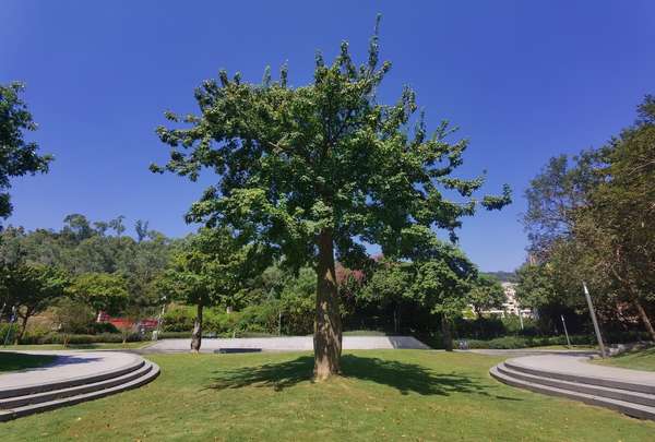 必须要用的日本技术,必须要用的日本技术有哪些