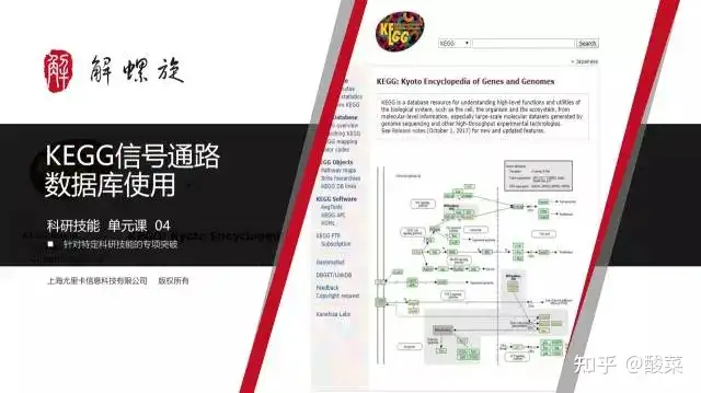 1年保証』 US82-122 金原出版 家畜外科学 改訂5版 2001 35M3D 医学一般