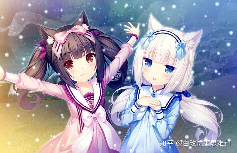 关于nekopara猫娘人权的观点 知乎