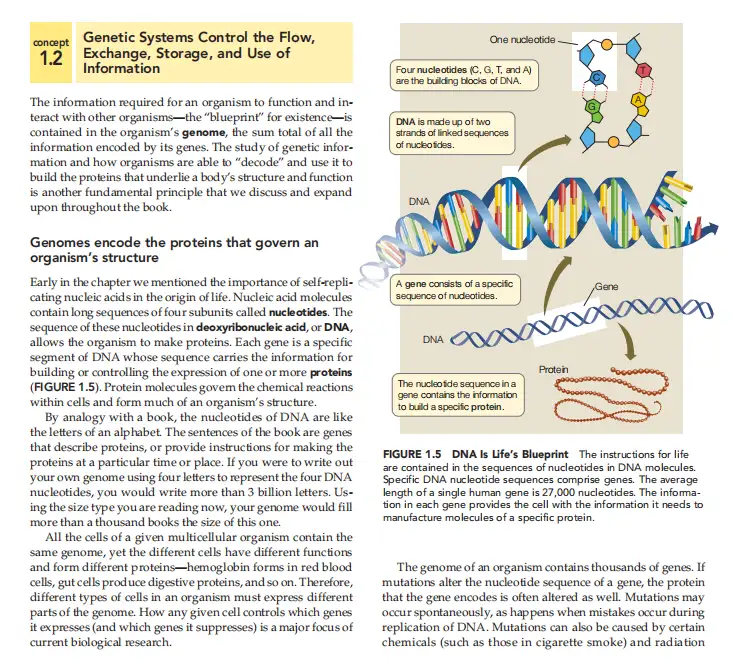 Basis淘汰制大解析 国际学校轻松 误解太深 知乎