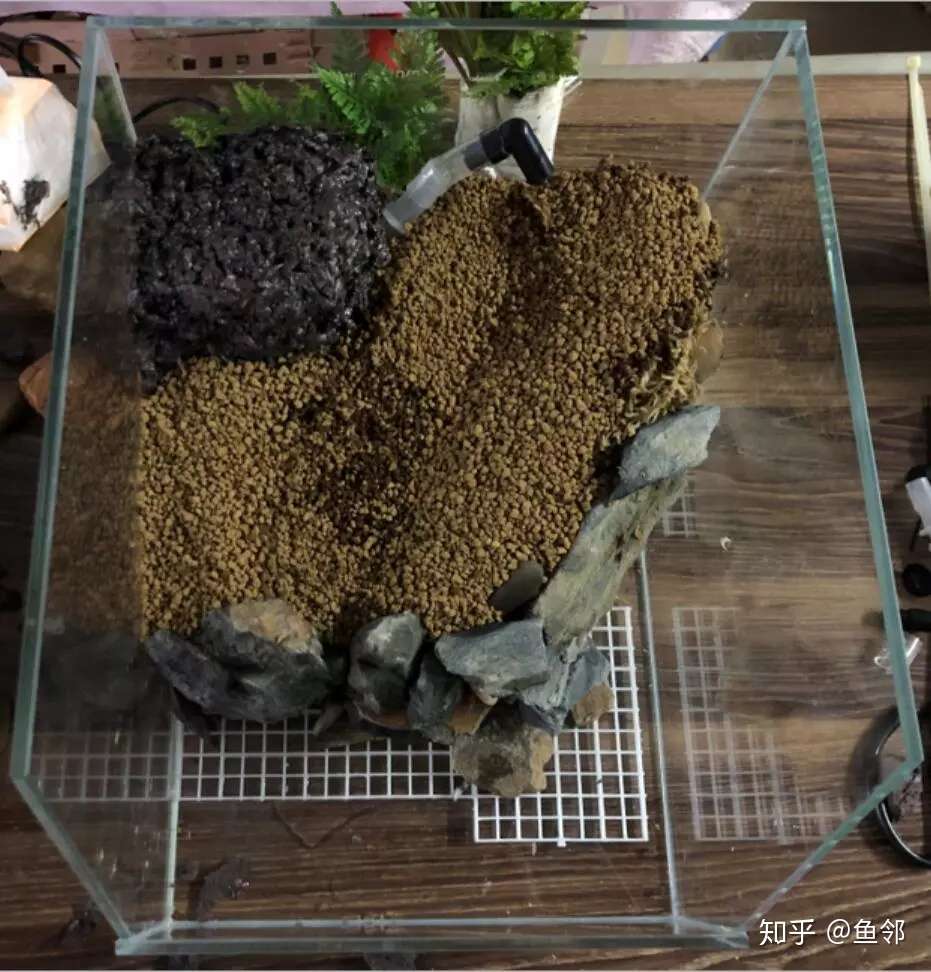 你还在为迷你水陆缸而发愁吗 知乎