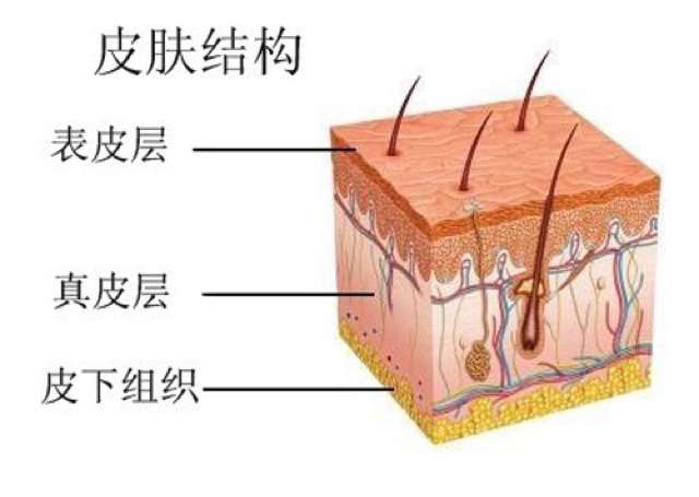 甲醛對人體的七大影響