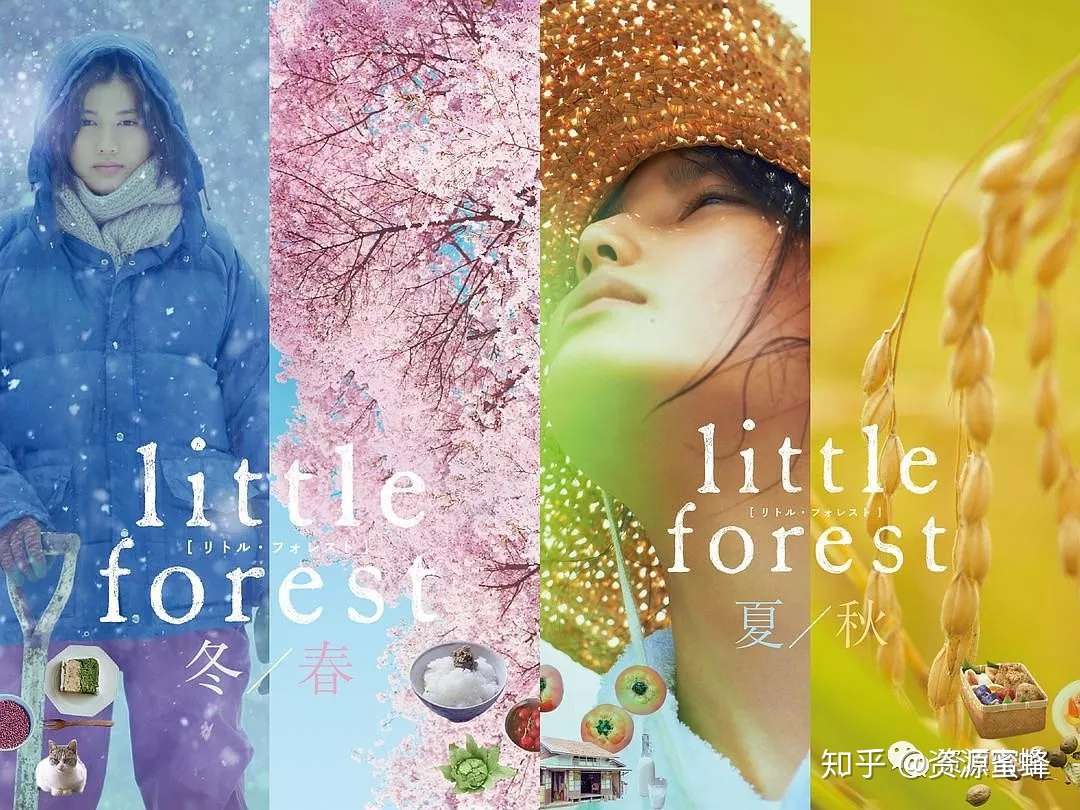 金泰梨和桥本爱不同风格的治愈系 每天一部好电影 小森林 知乎